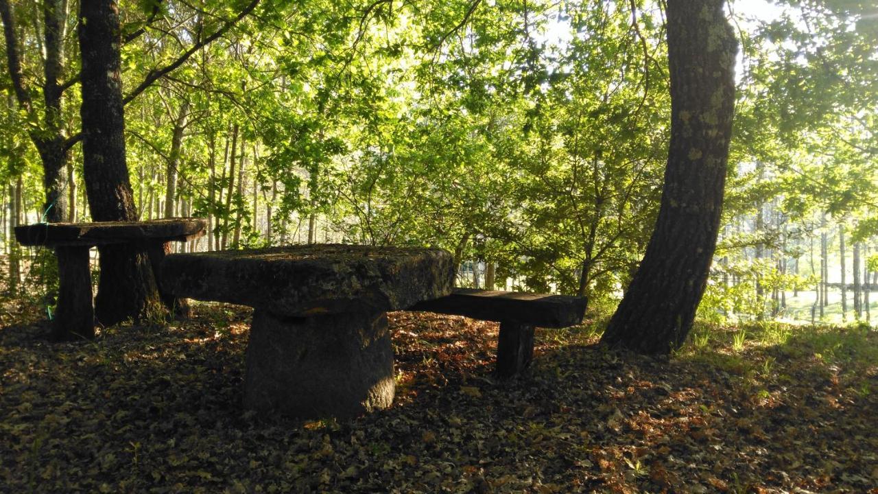 Quinta Das Fontes - Alojamento Rustico Local E Turismo Rural São Pedro do Sul Esterno foto