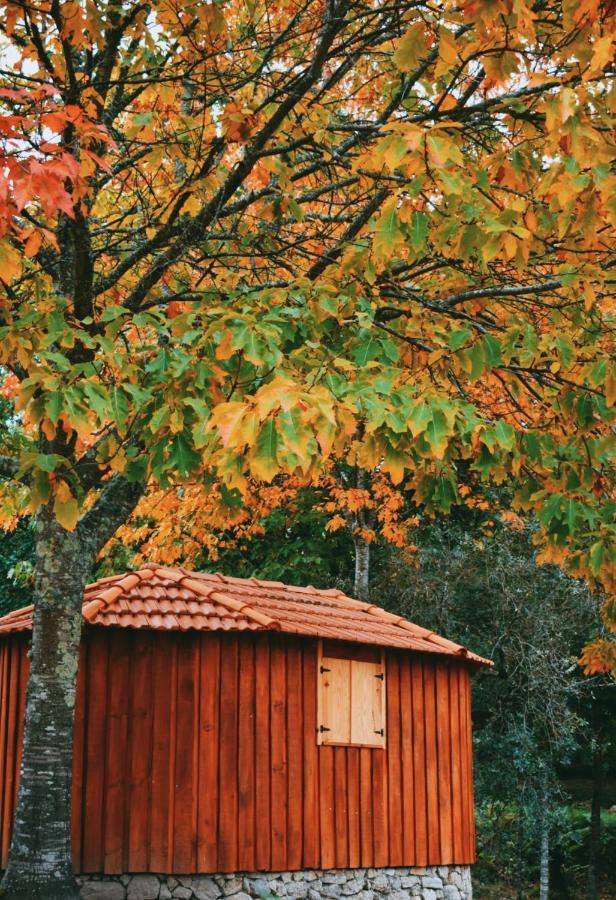 Quinta Das Fontes - Alojamento Rustico Local E Turismo Rural São Pedro do Sul Esterno foto