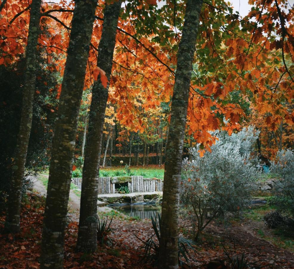 Quinta Das Fontes - Alojamento Rustico Local E Turismo Rural São Pedro do Sul Esterno foto