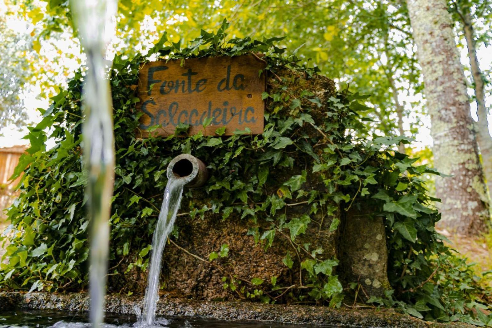Quinta Das Fontes - Alojamento Rustico Local E Turismo Rural São Pedro do Sul Esterno foto