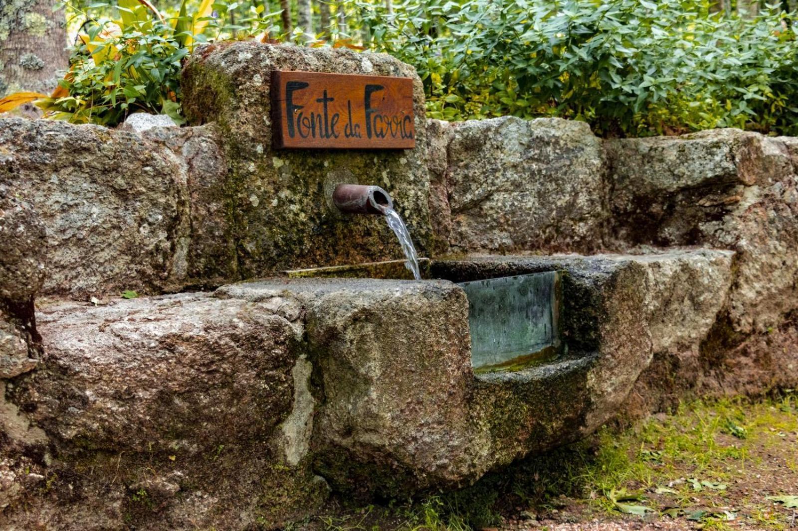 Quinta Das Fontes - Alojamento Rustico Local E Turismo Rural São Pedro do Sul Esterno foto